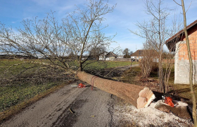 Élagage & Abattage d'arbres sur Bourges dans le Cher