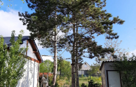 Élagage & Abattage d'arbres sur Bourges dans le Cher