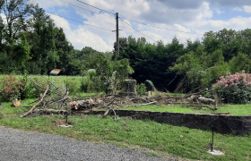 Élagage & Abattage d'arbres sur Bourges dans le Cher