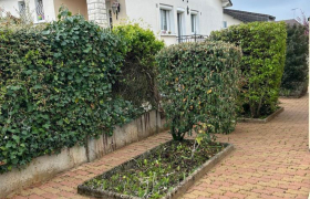Elagueur Bourges
