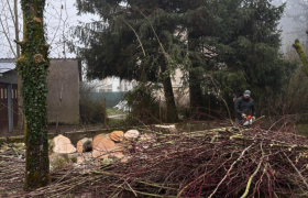 Elagage d'arbres Bourges